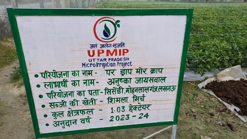 तोट्याचा सौदा आहे. मुलगी म्हणून शेती कशी करणार? उन्हात कशी काम करणार? मजूरांसोबत कसा व्यवहार असेल? अशा अनेक गोष्टी लोकं म्हणाले. मात्र, लोकांनी इतक्या विविध प्रकारचे प्रतिक्रिया दिल्यानंतर ती तिच्या निर्णयावर ठाम राहिली आणि अवघ्या 4 वर्षात 22 लाखांहून अधिक नफा कमावला.