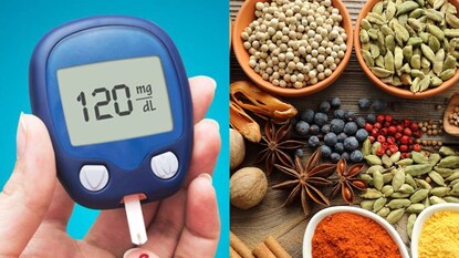 किचनमधील या 3 मसाल्यांनी कंट्रोल होईल डायबेटिज