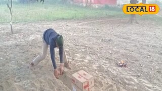 शेतातील दृश्य शेतातील दृश्य