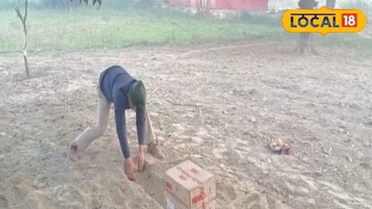 शेतातील दृश्य शेतातील दृश्य