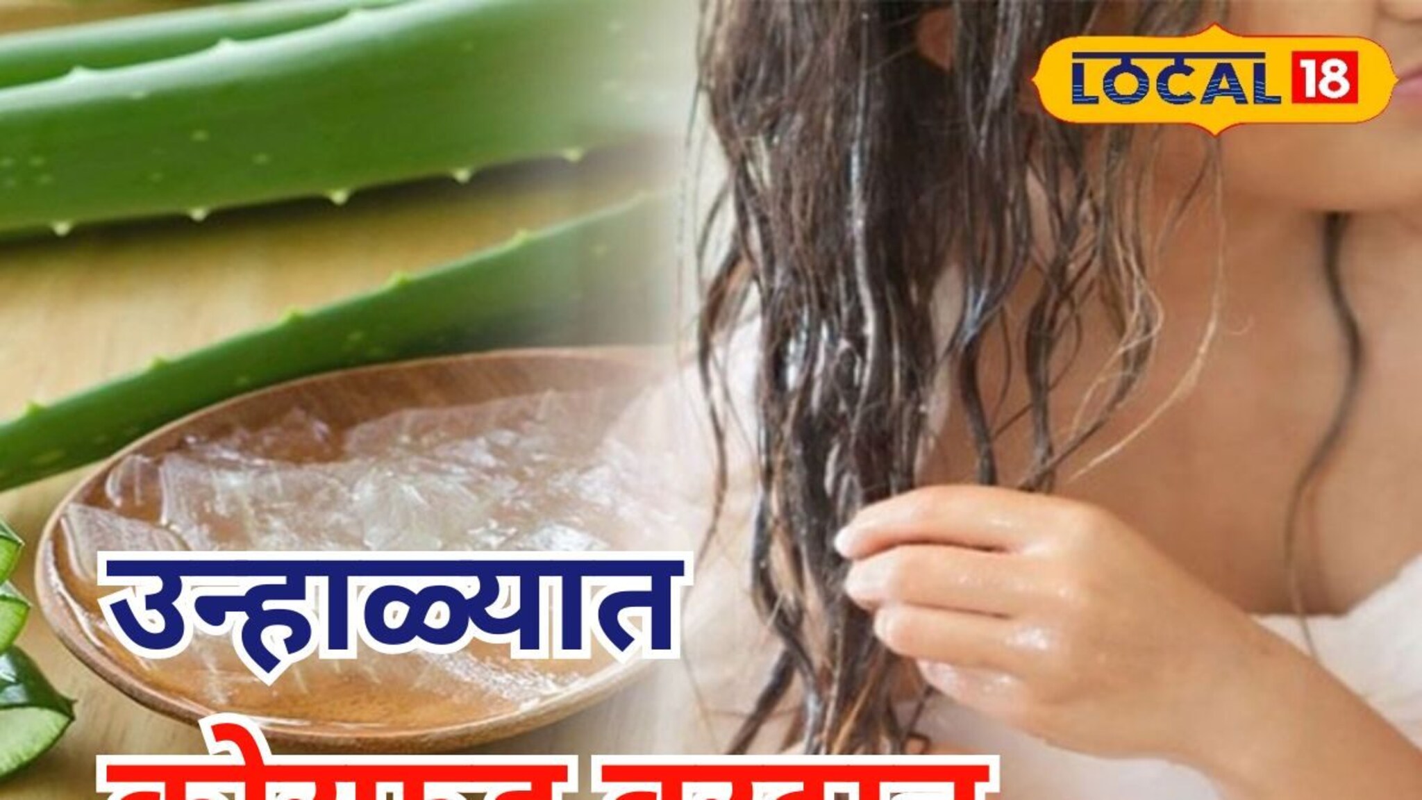 उन्हाळ्यात केसांच्या समस्येवर रामबाण उपाय, कोरफडीचा असा करा उपयोग, Video