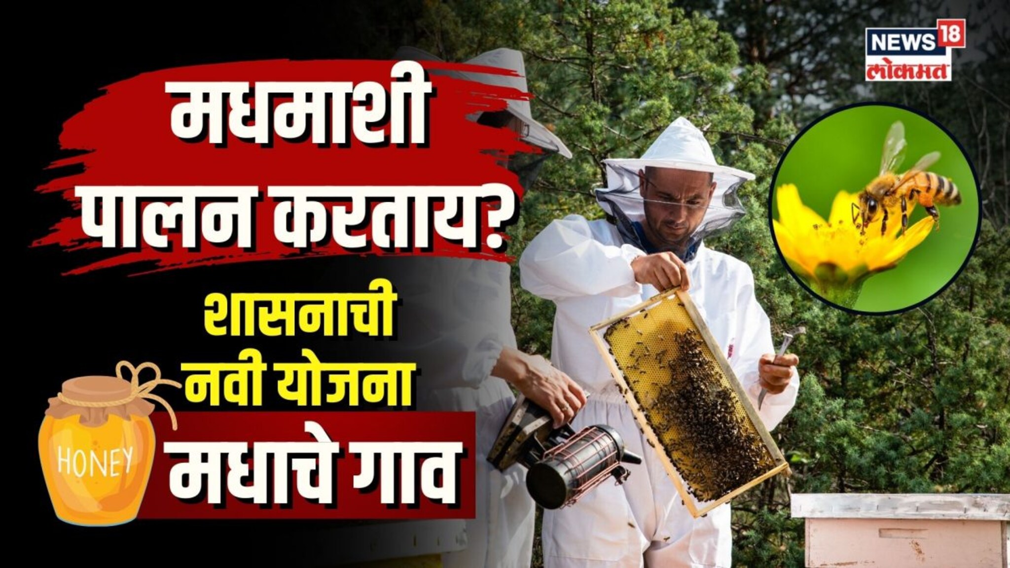  मधुमाशी पालन करायचंय? जाणून घ्या काय आहे सरकारची मधाचं गाव योजना