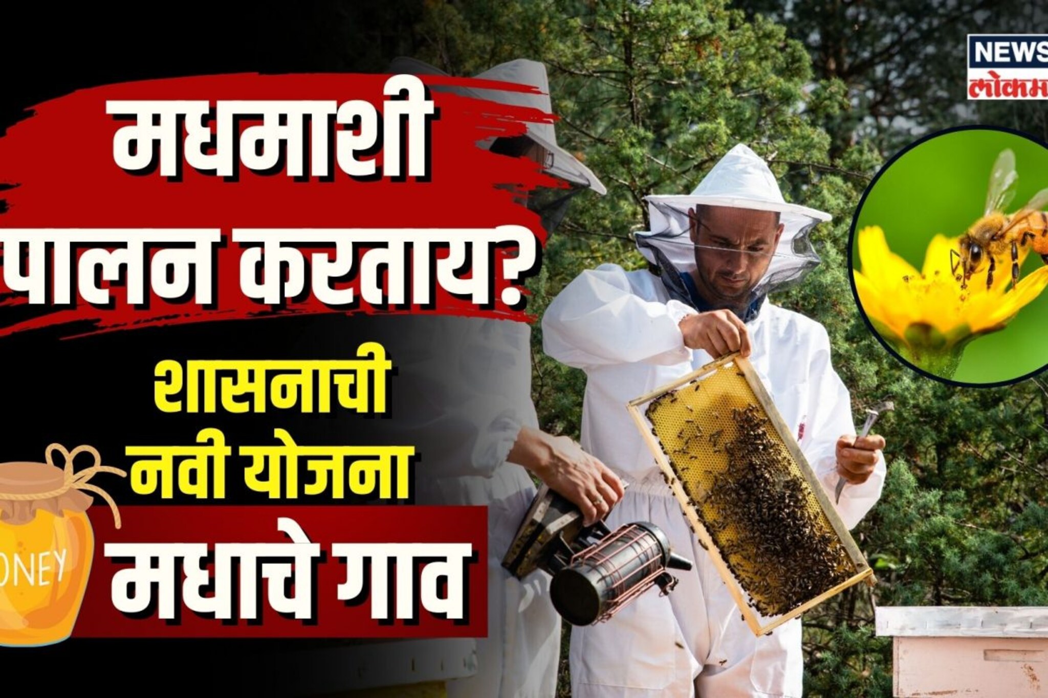 ...जाणून घ्या काय आहे सरकारची मधाचं गाव योजना