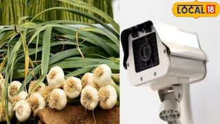 सीसीटीव्ही कॅमेरे