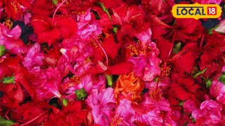 याला सौंदर्यवर्धक फूल म्हणतात.