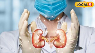 निरोगी शरिरासाठी आहार संतुलित असणं सर्वाधिक आवश्यक आहे. निरोगी शरिरासाठी आहार संतुलित असणं सर्वाधिक आवश्यक आहे.