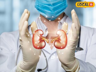 निरोगी शरिरासाठी आहार संतुलित असणं सर्वाधिक आवश्यक आहे. निरोगी शरिरासाठी आहार संतुलित असणं सर्वाधिक आवश्यक आहे.