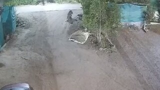 फोटो - व्हिडीओ ग्रॅब