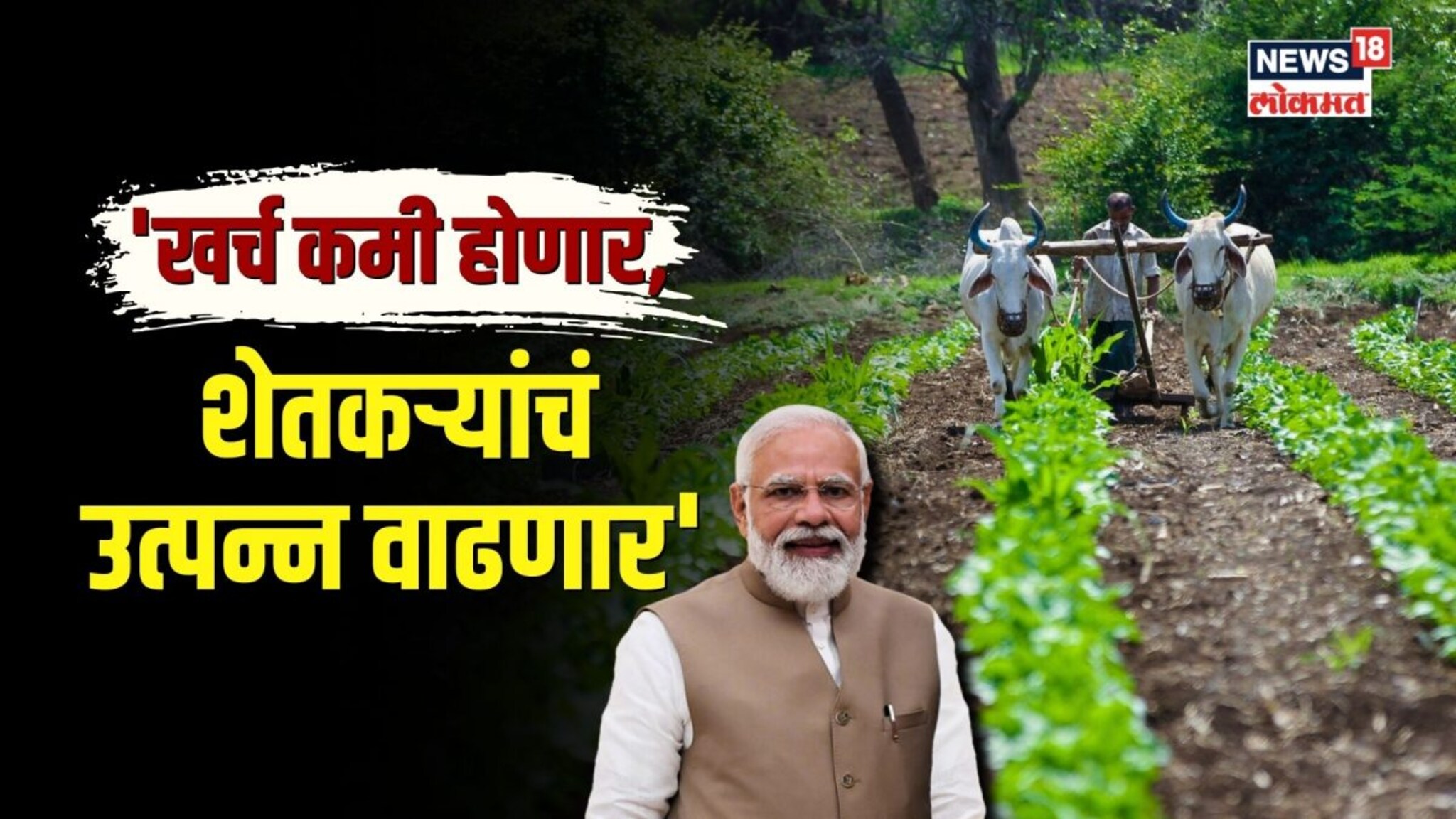 बजेटवर मोदींची प्रतिक्रिया