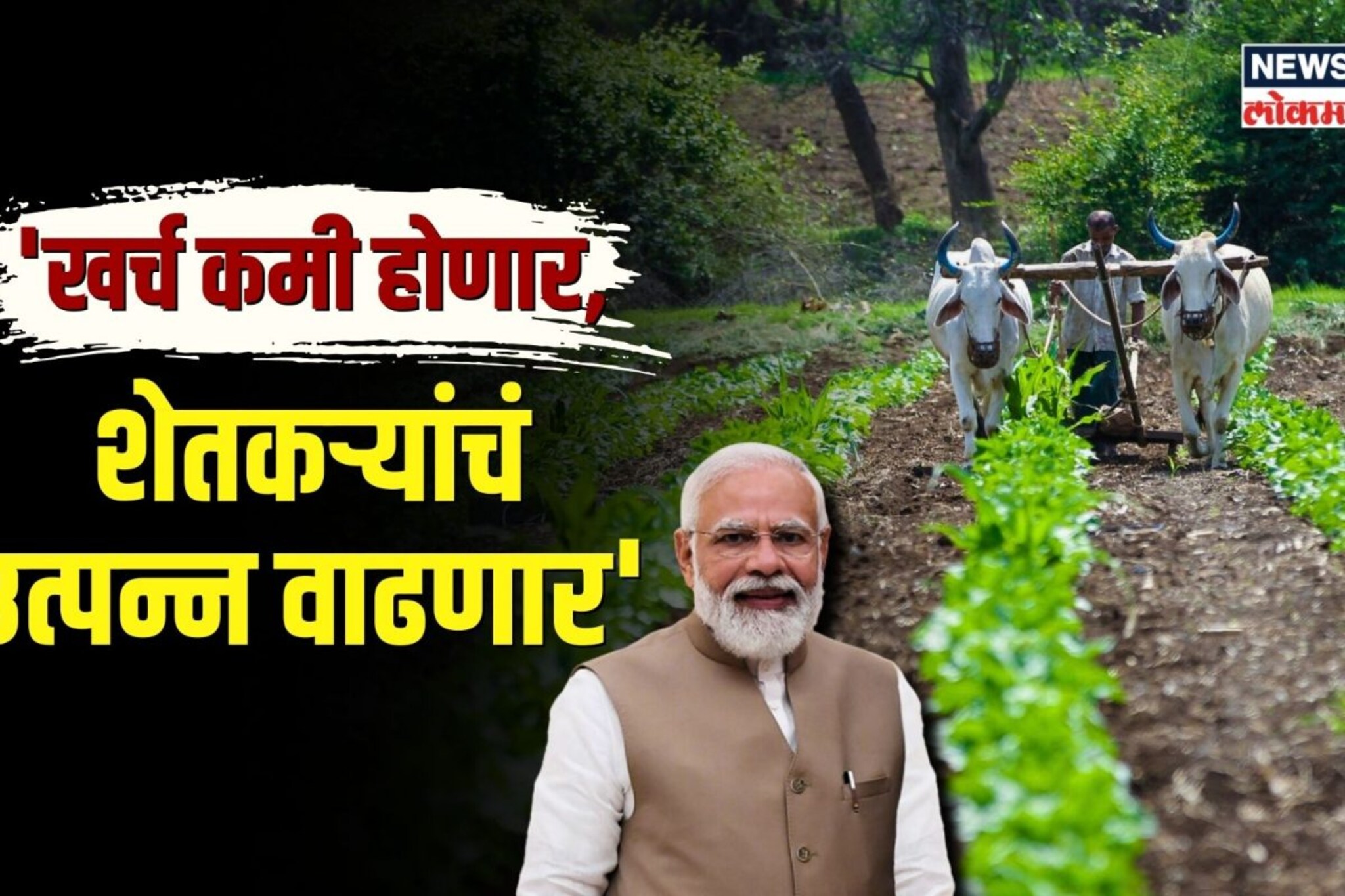 बजेटवर मोदींची प्रतिक्रिया