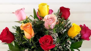 रोझ डे
रोझ डे