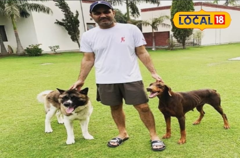 जर तुम्ही त्यांना सोशल मीडियावर पाहिले तर लक्षात येईल की त्यांना कुत्र्यांचा खूप शौक आहे. त्यांच्या दिल्लीतील घरी कुत्र्यांसाठी एक विशेष जागाही आहे. त्याच्या घरी कुत्र्यांना फिरण्यासाठी मुबलक जागा आहे. एक क्रीडापटू असल्याने, सेहवागने आपल्या महालासारख्या घराच्या आवारात सुंदर बगीचा आणि खेळाचे मैदान तयार केले आहे. येथे योगाभ्यास करण्याबरोबरच त्याला त्याच्या मुलांसह आणि पत्नीसह बॅडमिंटन, क्रिकेट आणि इतर खेळ खेळायला आवडते. सेहवागचे कुटुंब लॉनच्या मध्यभागी बसलेल्या जागेवर सकाळच्या जेवणाचा आस्वाद घेताना पाहिले जाते. 