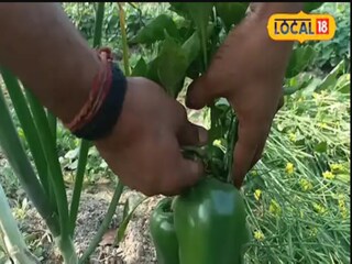 शेतकऱ्याची कमाल