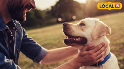 दरवर्षी एकदा आपल्या कुत्र्याला 'ही' लस द्यावी. दरवर्षी एकदा आपल्या कुत्र्याला 'ही' लस द्यावी.