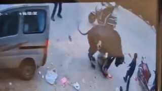 फोटो - सोशल मीडिया व्हिडीओ ग्रॅब