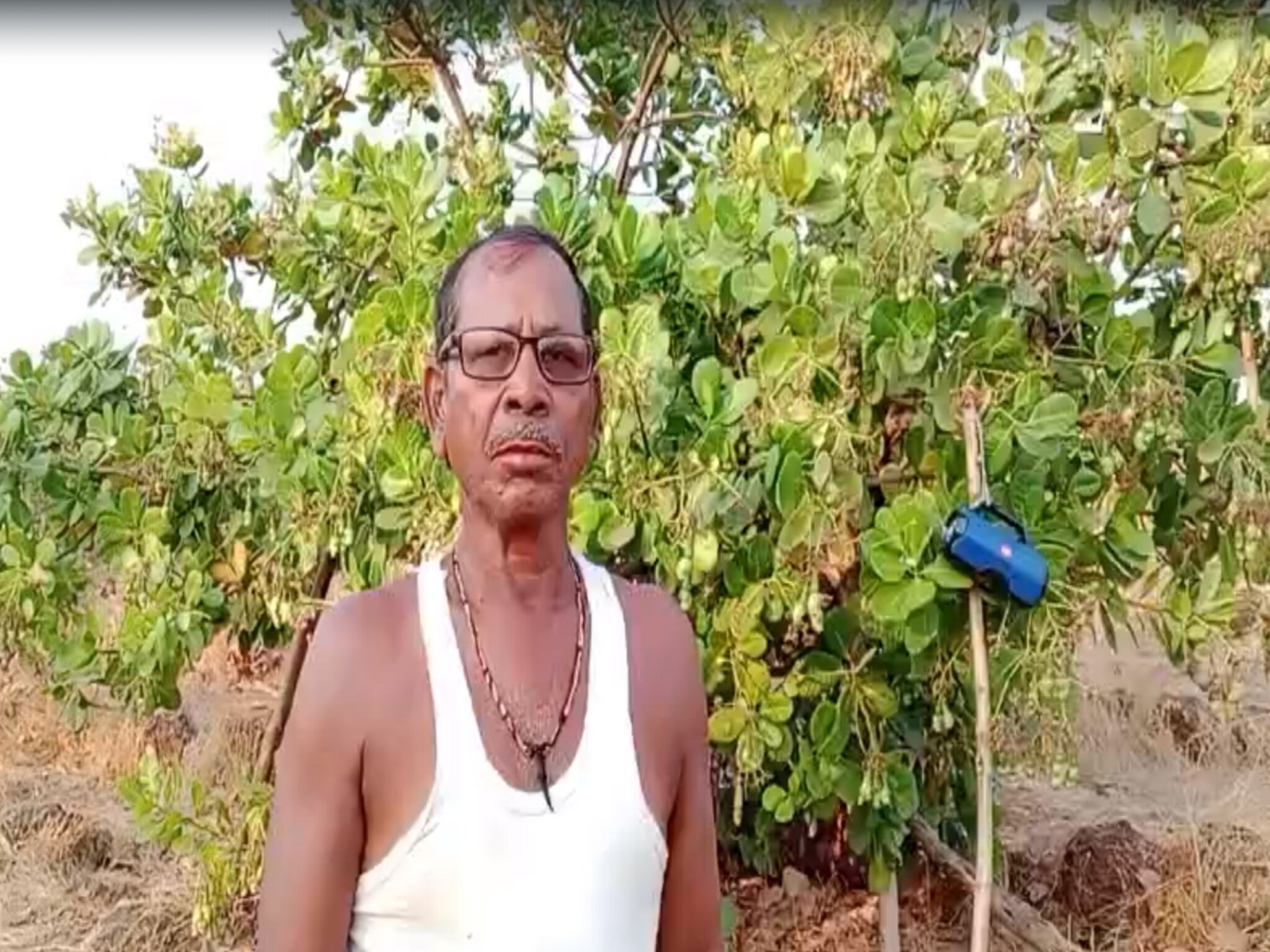 VIDEO : माकडं काय माणसालाही आकडी येईल; आंबा-काजूला वाचवण्यासाठी शेतकऱ्याचा खतरनाक जुगाड