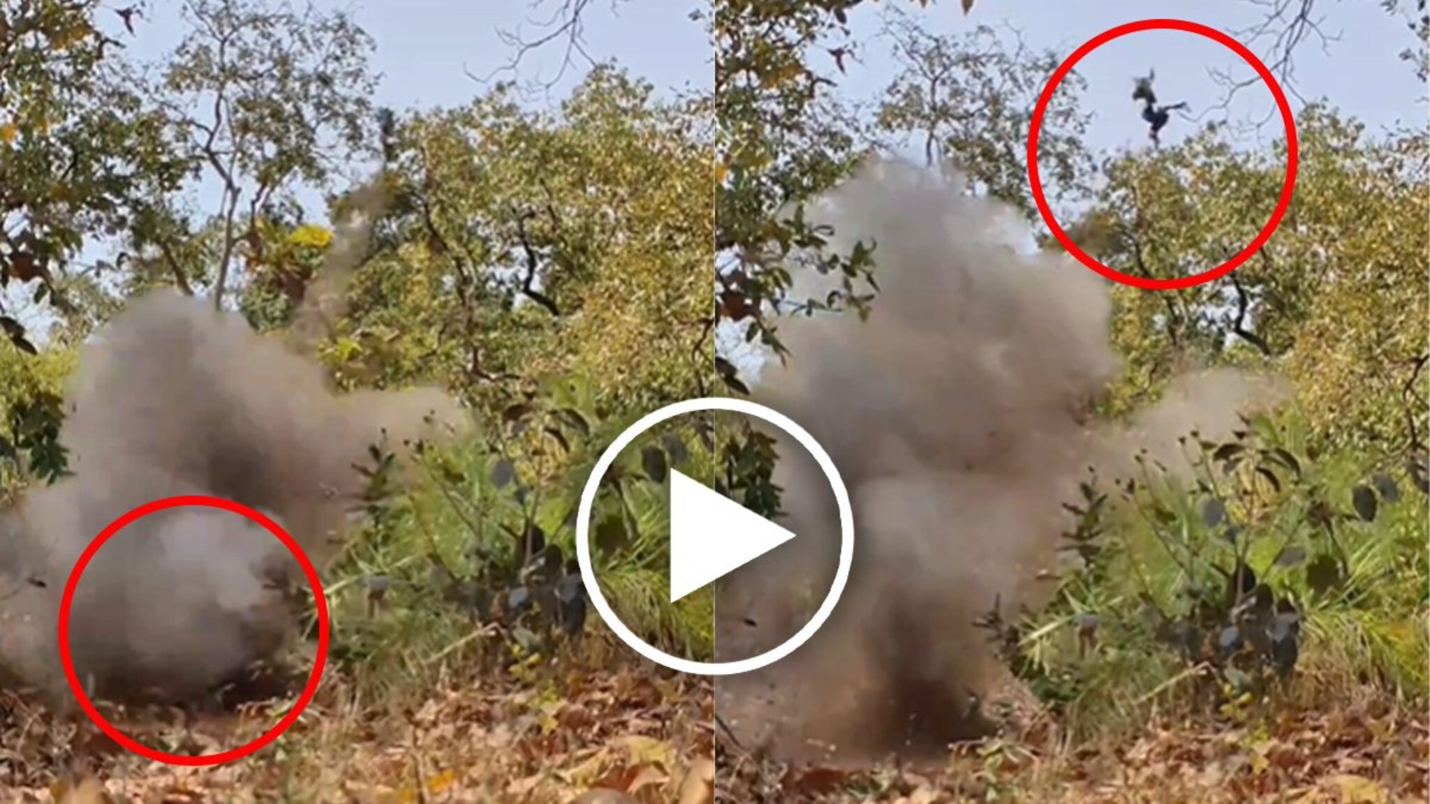 माओवादी घातपात कसा घडवून आणतात? 2 किलो कुकर बॉम्बचा स्फोट होताना LIVE VIDEO