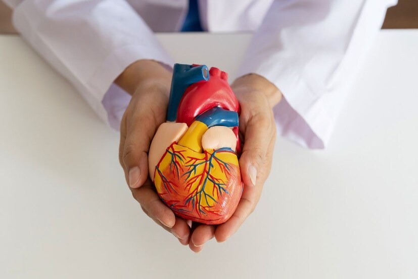 सध्या हृदयविकाराच्या रुग्णांमध्ये मोठ्या प्रमाणात वाढ झाली आहे. हिवाळ्यात तर हार्ट अटॅक येण्याचे प्रमाण जास्त वाढते. अशावेळी बाजरीमध्ये मॅग्नेशियम चांगल्या प्रमाणात आढळते. तेव्हा जेवणात बाजरीची भाकरी खाल्ल्याने हृदयविकाराचा धोका कमी होतो.