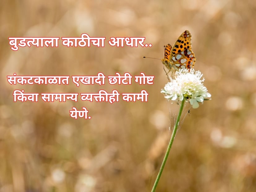 बुडत्याला काठीचा आधार.. संकटकाळात एखादी छोटी गोष्ट किंवा सामान्य व्यक्तीही कामी येणे. अंथरूण पाहून पाय पसरावेत.. आपल्याकडे उपलब्ध गोष्टींमध्येच आनंद मानावा.