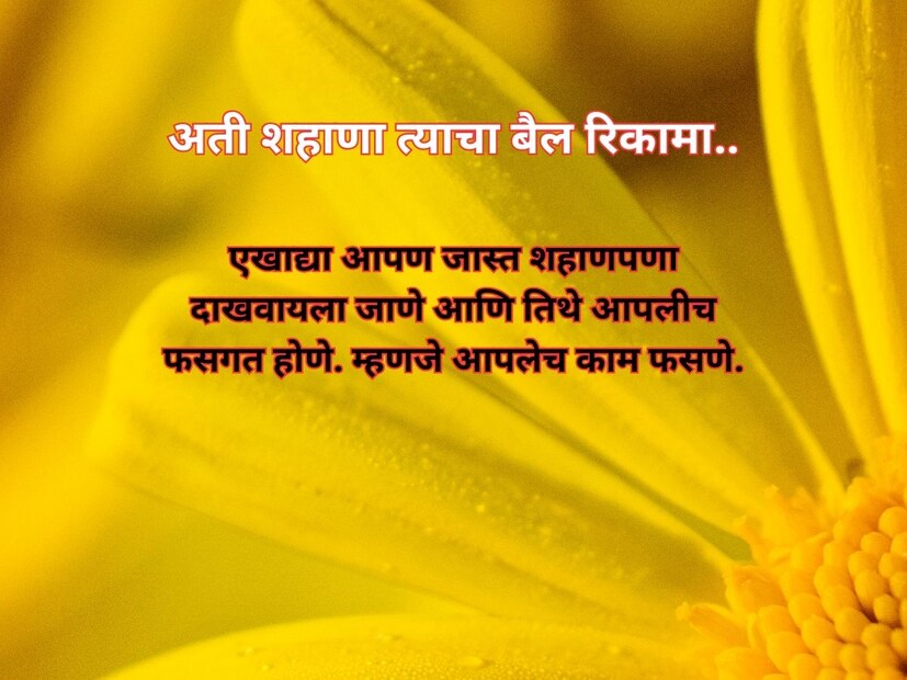 अती शहाणा त्याचा बैल रिकामा.. एखाद्या आपण जास्त शहाणपणा दाखवायला जाणे आणि तिथे आपलीच फसगत होणे. म्हणजे आपलेच काम फसणे. अर्ध्या हळकुंडाने पिवळं होणं.. थोड्याशा कौतुकानेही खूप खुश होणं. 