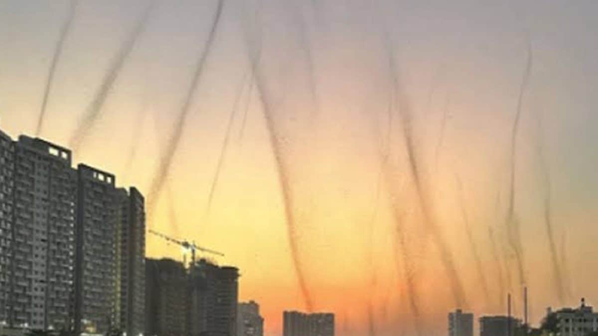 Pune mosquito tornado : पुण्यात डासांचं वादळ आलं तरी कुठून आणि कसं ...