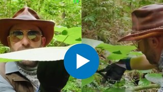 जगातील सर्वात धोकादायक वनस्पती