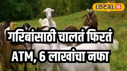 प्रतिकात्मक फोटो