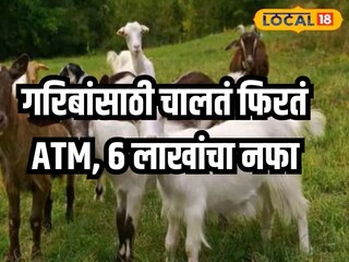 प्रतिकात्मक फोटो