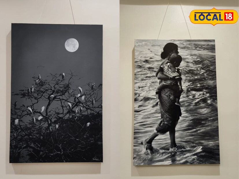 मात्र, हे फोटो पाहताना असे वाटते की, तिने काढलेले हे फोटो नसून एक प्रकारे पेंटिंगच आहे. मात्र, हे रेखाटन नसून तिने तिच्या कॅमेऱ्यातूनच हे सर्व फोटो काढले आहे. तिच्या फोटोमध्ये सुंदर रंगसंगती पाहायला मिळते.