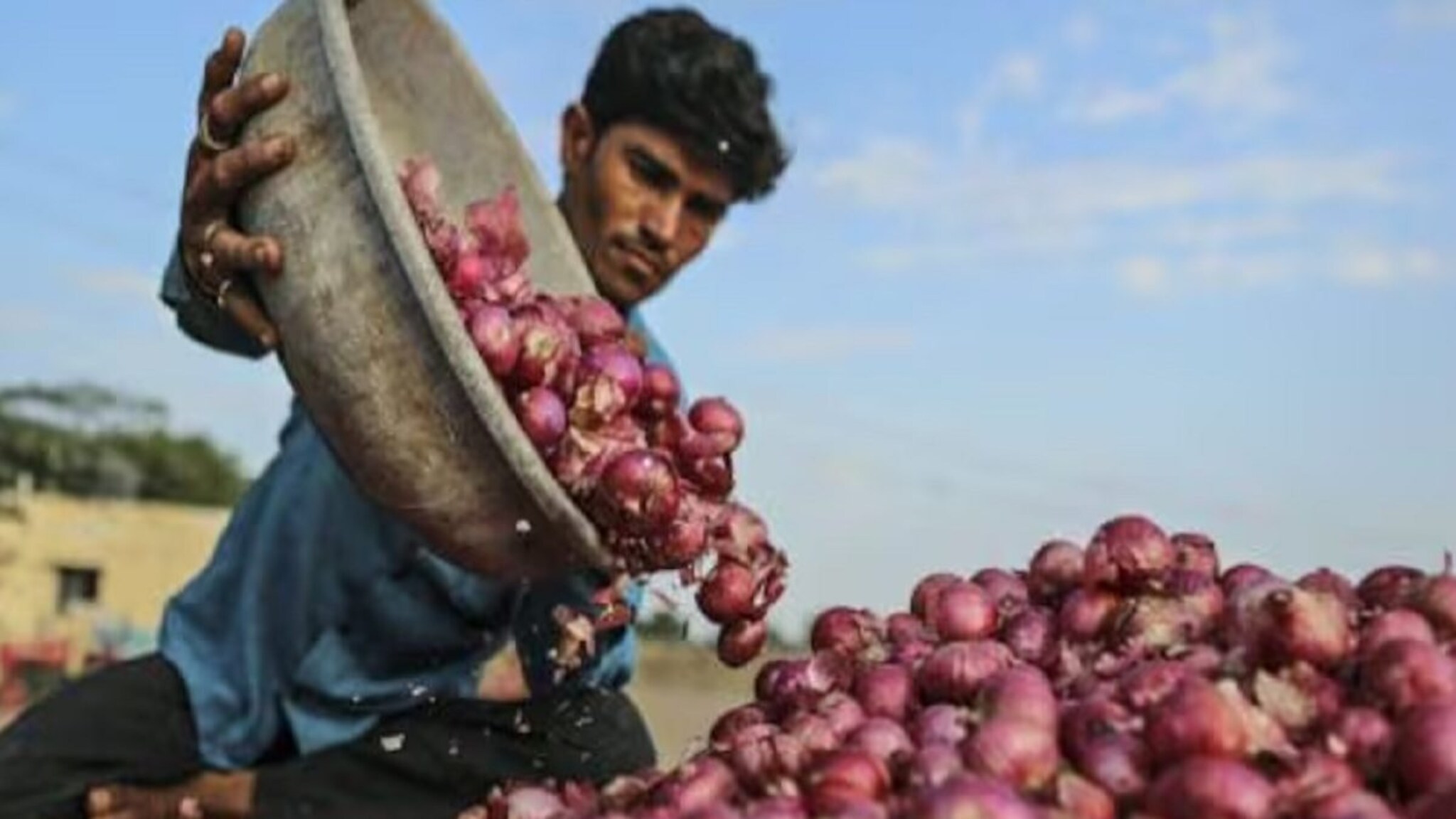 कांद्याच्या दरात मोठी उसळी; ऐन सणासुदीच्या काळात गृहिणींचं बजेट कोलमडणार!