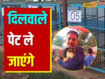 यंदाच्या यंदाच्या