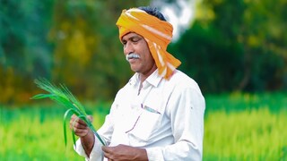 पीएम फसल बिमा योजना 