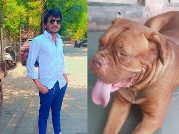 तरुणावर सोडला पिटबूल कुत्रा