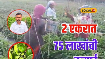 दुष्काळी