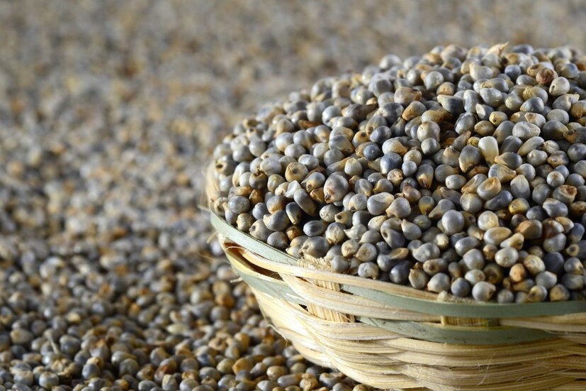 बाजरीमध्ये अँटीऑक्सिडंट, डायट्री फायबर, प्रोटीन इत्यादी घटक असतात. याशिवाय झिंक, आयरन, व्हिटॅमिन बी3, बी6, बी9 इत्यादी भरपूर प्रमाणात असतात. बाजरीच्या भाकरीचे सेवन केल्याने शरीराला उपयुक्त पोषण मिळते.