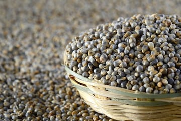 जेवणात चपाती ऐवजी खा बाजरीची भाकरी, डायबेटिज सह ब्लड प्रेशर ही येईल नियंत्रणात जेवणात चपाती ऐवजी खा बाजरीची भाकरी, डायबेटिज सह ब्लड प्रेशर ही येईल नियंत्रणात