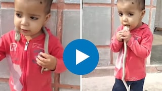 सापाला खेळणं समजून खेळत होता चिमुकला