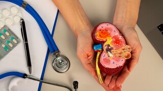 आधी बायकोला दिली किडनी, मग परत मागितली आधी बायकोला दिली किडनी, मग परत मागितली