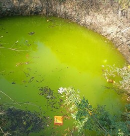 वाशिमच्या 60 कुटुंबांविरोधात घातपाताचा कट? विहिरीत मिसळलं विषारी द्रव्य, Photos वाशिमच्या 60 कुटुंबांविरोधात घातपाताचा कट? विहिरीत मिसळलं विषारी द्रव्य, Photos