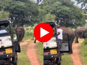 जंगलात गाडी पाहून हत्ती भडकला जंगलात गाडी पाहून हत्ती भडकला