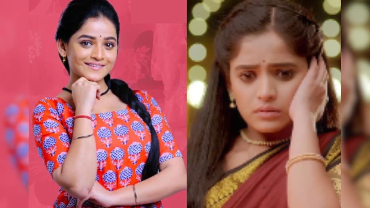Paru Serial : 'महा फालतू, हे दाखवणं बंद करा...' झी मराठीच्या पारू ...