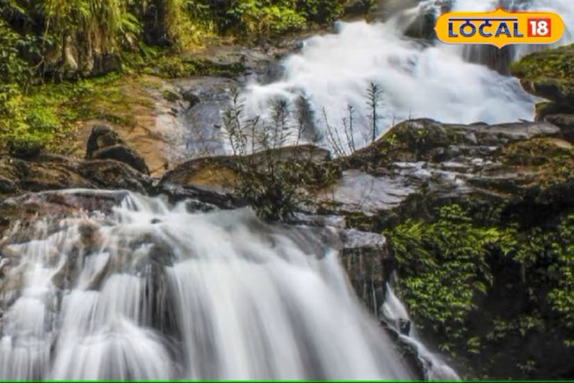 नैनिताल शहरापासून सुमारे 9 किलोमीटर अंतरावर नैनिताल-कालाढूंगी महामार्गावर वुडलँड धबधबा आहे. हा अतिशय सुंदर आणि आकर्षक धबधबा आहे. उंचावरून पडताना त्याचे पाणी इतके पांढरे दिसते की स्थानिक लोक त्याला दुधाळ धबधबा असेही म्हणतात. याठिकाणी अनेक पर्यटक येतात. हा धबधबा इतका अप्रतिम सुंदर आहे की, तो नैनितालला येणाऱ्या पर्यटकांची पहिली पसंती बनला आहे.