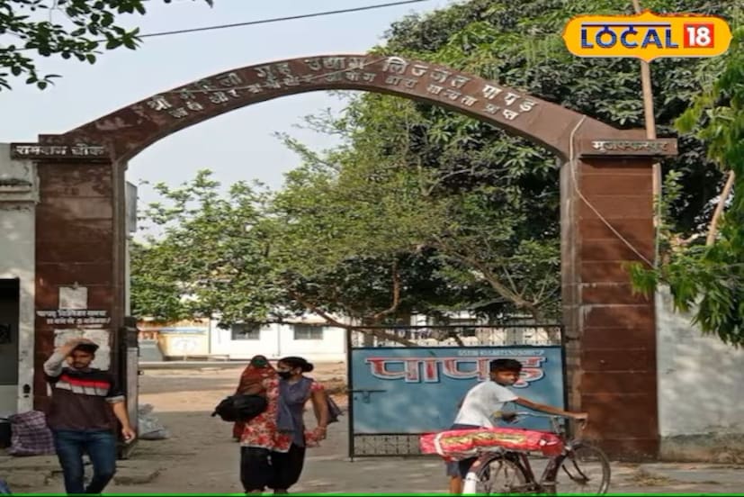 लिज्जत पापडला बेसन, तेल, मिरपूड, आवश्यकतेनुसार पाणी आणि चवीनुसार मीठ टाकून कारागीर आणि यंत्राद्वारे तयार केले जाते. लिज्जत पापड अनेक फ्लेव्हरमध्ये तयार केला जातो. लिज्जत पापडला बेसन, तेल, मिरपूड, आवश्यकतेनुसार पाणी आणि चवीनुसार मीठ टाकून कारागीर आणि यंत्राद्वारे तयार केले जाते. लिज्जत पापड अनेक फ्लेव्हरमध्ये तयार केला जातो.