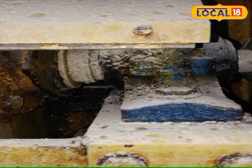 गुजरात राज्यातील सात महिलांनी आपला मोकळा वेळ घालवण्यासाठी लिज्जत पापड बनवण्यास सुरुवात केली होती. त्यांनी नातेवाइकांकडून 80 रुपये उसने घेतले आणि नंतर उडीद डाळ, हिंग, मसाले इत्यादी खरेदी केले. तसेच घराच्या गच्चीवर पापड बनवायला सुरुवात केली. पहिल्या दिवशी त्यांनी एकूण 5 पाकिटे पापड बनवले. ते बाजारात विकले. त्यावेळी त्यांना फक्त 50 पैसे मिळाले.