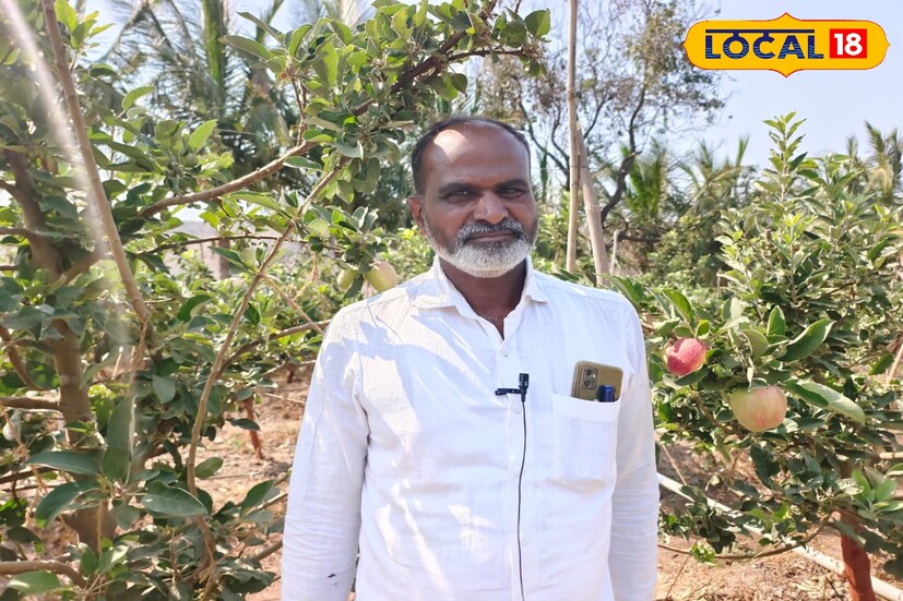 सातारा जिल्ह्यातील माण तालुक्यात असलेल्या टाकेवाडी हे जालिंदर दडस यांचे गाव आहे. जालिंदर दडस यांनी युट्युबवर माहिती घेऊन काश्मीर, राजस्थान आणि बाहेरील देशातून म्हणजे हॉलंड आणि इटलीमधून चार जातींची रोपे सुरुवातीला मागवली. 