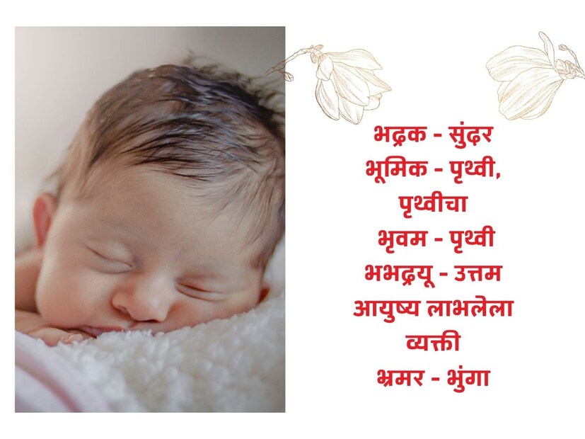 भद्रक - सुंदर; भूमिक - पृथ्वी, पृथ्वीचा; भृवम - पृथ्वी; भभद्रयू - उत्तम आयुष्य लाभलेला व्यक्ती; भ्रमर - भुंगा