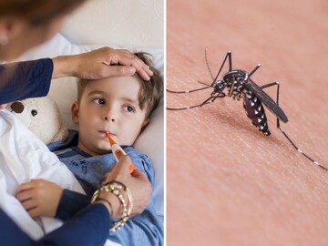 जपानी तापाची कारणं काय, तो लहान मुलांनाच का होतो? पाहा लक्षणं आणि बचावाचे उपाय