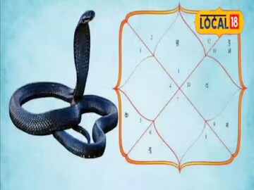 स्वप्नात साप चावत असेल तर...