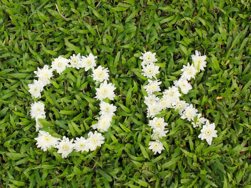 सुरुवात कुठूनही झाली असली, तरी सध्या ओके हा शब्द आपल्याला मोठ्या प्रमाणात फायद्याचा ठरत आहे. शिवाय, आता ओकेचा अर्थही सर्वांना माहिती झाला आहे. त्यामुळे ओके हा शब्द खरं तर दुसराच काहीतरी आहे असं कोणी सांगत असेल, तर त्यालाही तुम्ही ओके म्हणू शकता.