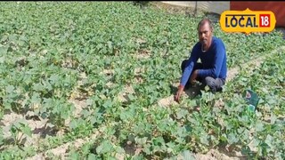 शेतकरी सक्सेस स्टोरी